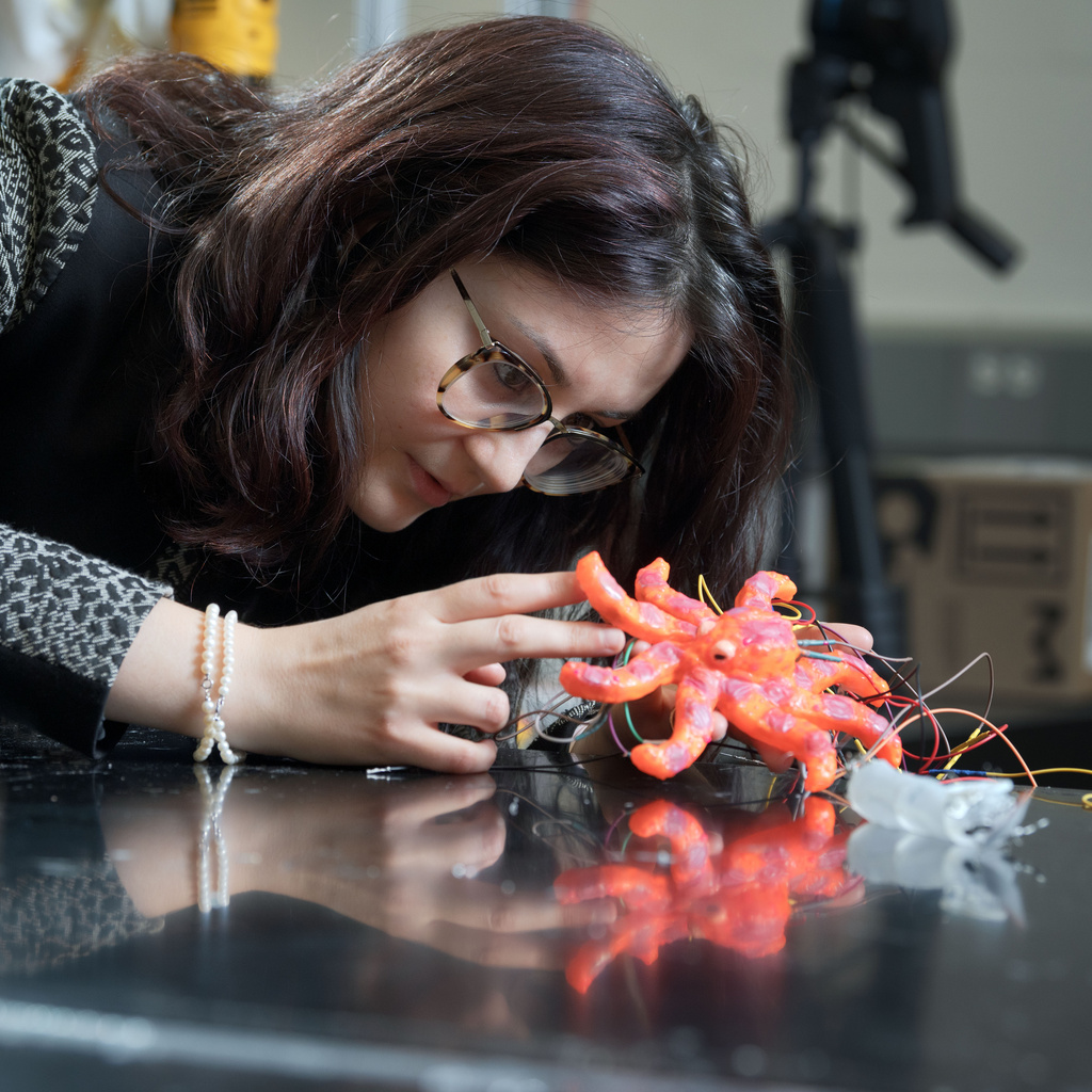 Softopus research by Caterina Lamuta