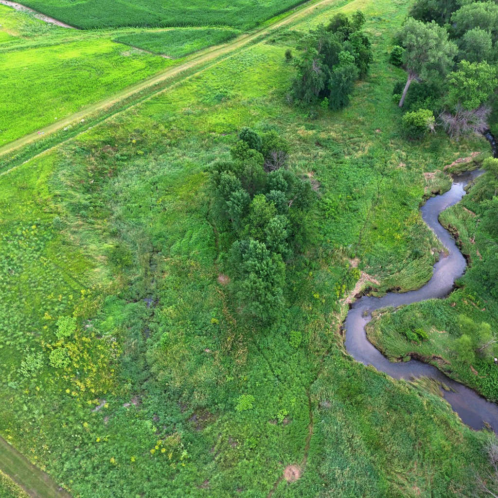 Oxbow restoration project