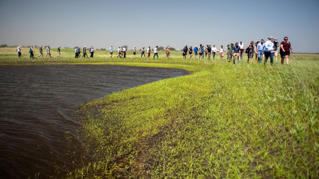 Middle Cedar Watershed wetland