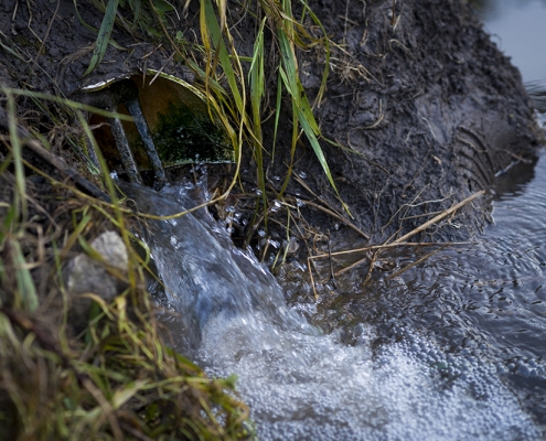 A field tile dumps into Clear Creek in Iowa.